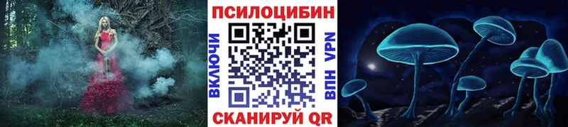 наркота  гидра зеркало  Псилоцибиновые грибы прущие грибы  Грайворон 